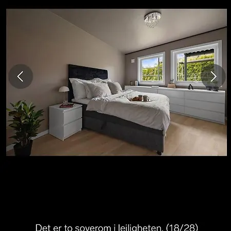 Aurdalslia Bergen