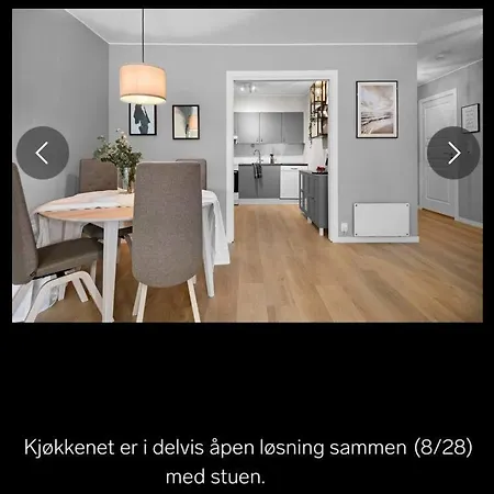 Apartment Aurdalslia *